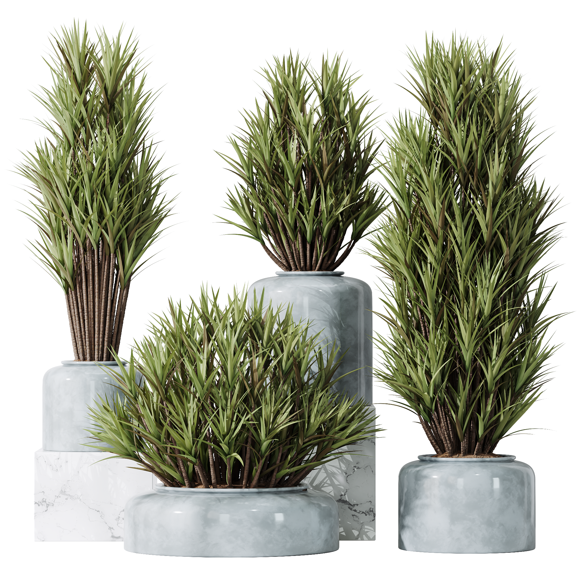 HQ Plants Yucca Elephantipes Gigantea Vase Set05